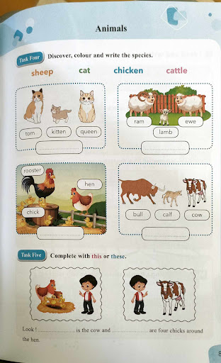 كتاب الانجليزية س4 ابتدائي Screen 3