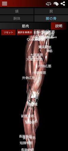 筋肉系3D（解剖学）のおすすめ画像4