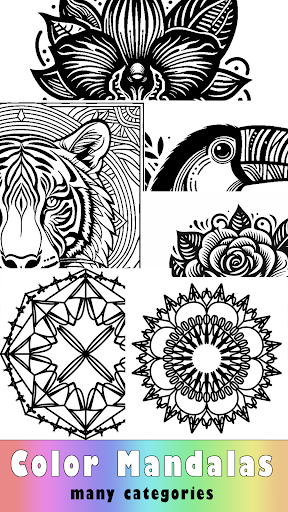 Mandala Coloring Book Screen 2