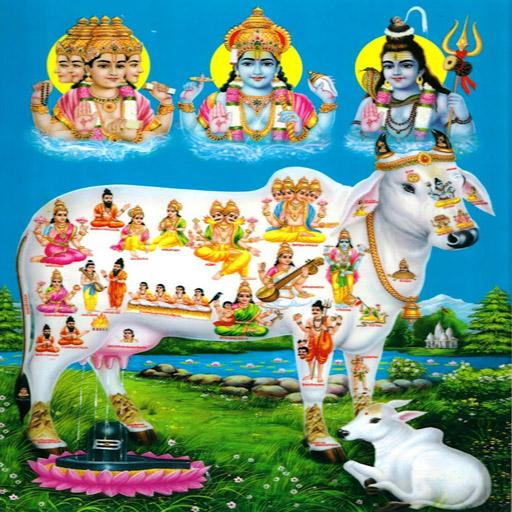 Gau Mata Aarti