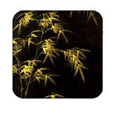 blackbamboo wallpaper icon