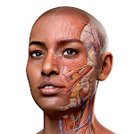 Cover Image of Download Complete Anatomy 2023  APK