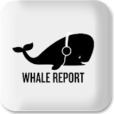 Whale Report icon