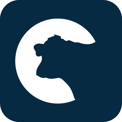 Rumintech logo