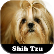 Top 33 Entertainment Apps Like Figurinhas de Shih-tzu - WAStickerApps - Best Alternatives