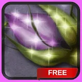Spring Purple Flower LWP icon