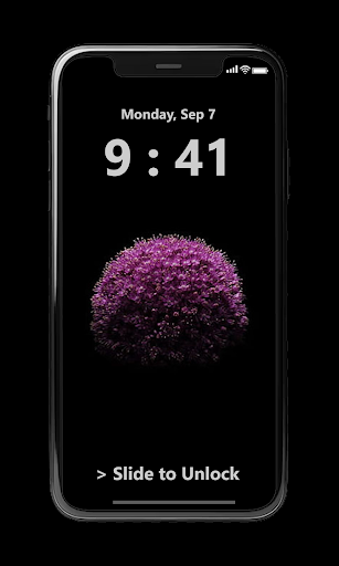Pin Lock Screen Screen 3