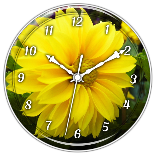 Yellow Dahila Clock Live WP