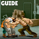 Guide For Final Fight 2016 icon