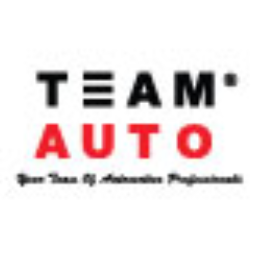 Team Auto