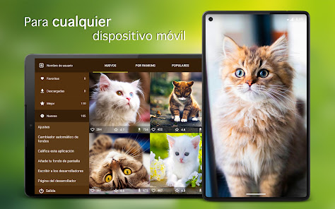 Captura 6 Fondos de pantalla con gatos android