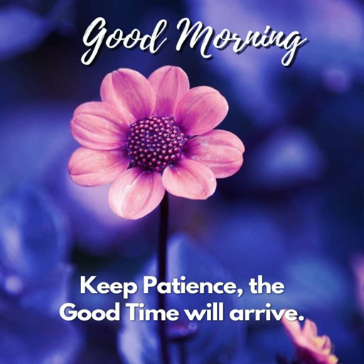 Positive Good Morning Quotes logo