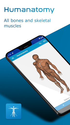 Android application Humanatomy screenshort