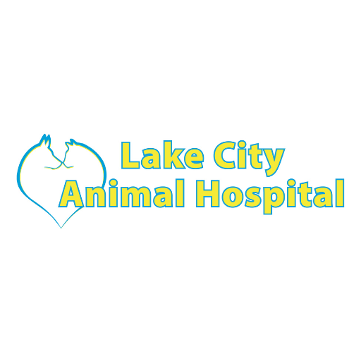 Lake City Animal Hospital