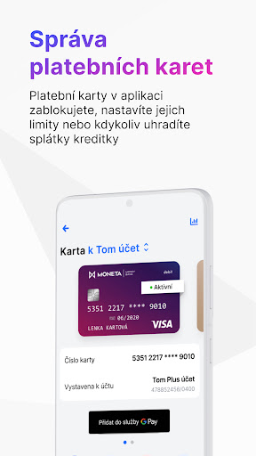 Smart Banka Screenshot