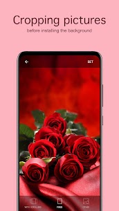 Rose Wallpapers PRO Apk Download New 2022 Version* 4