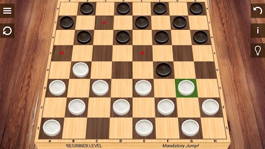 Checkers 18