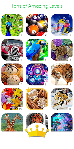 Find Differences Brain Test