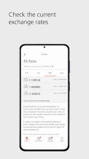 UBS WMJE: Mobile Banking Screen 3