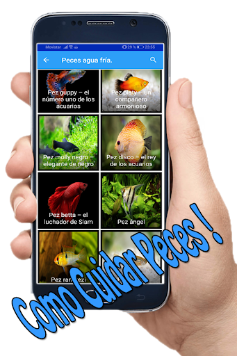 Como Cuidar Peces