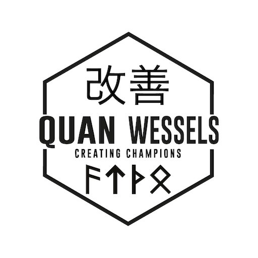 QuanWessels Infinity logo