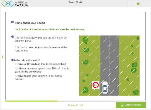 Road Code: Pathways Awarua Screen 3