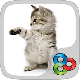 Little Kitty GO Launcher Theme icon