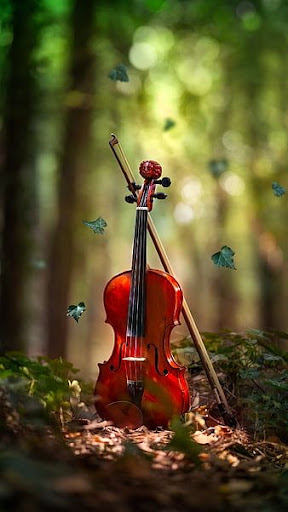 Violin Wallpapers Screen 2