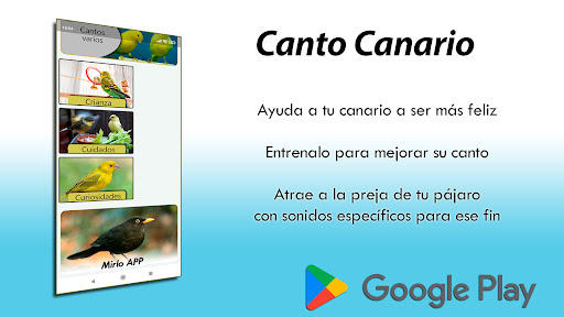 Canto Canario Screen 3