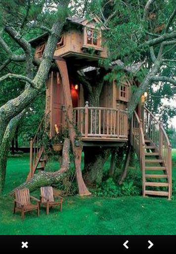 Wooden Houses and Tree Houses
