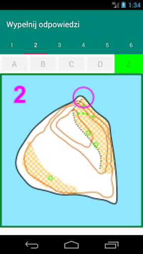 GreenActivity – demonstracja Screen 2