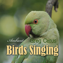 Obraz ikony: Birds Singing: Ambient Sound for Mindful State