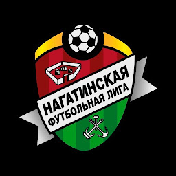 Icon image Нагатинская Футбольная Лига