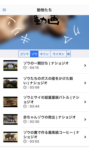 どうぶつの動画キリン　ゴリラ　ゾウ　ライオン　クマ