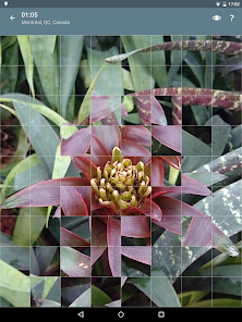 Imágen 21 Rompecabezas: Flores android