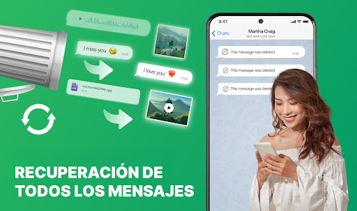 Vista previa de la aplicación