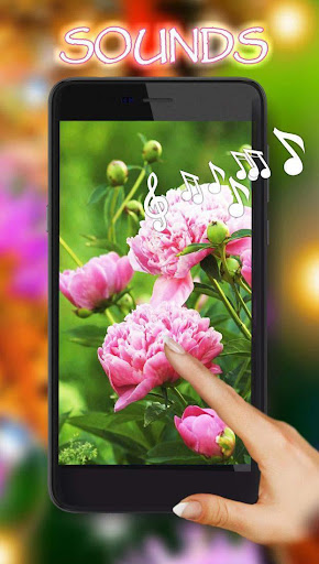 Summer Flowers Live Wallpaper