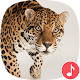 Appp.io - Jaguar Sounds Download on Windows