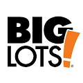 Big Lots Deals on Everything App