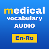 Medical Vocabulary Audio EN-RO icon