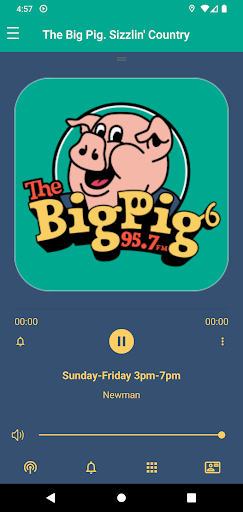 The Big Pig Screen 2