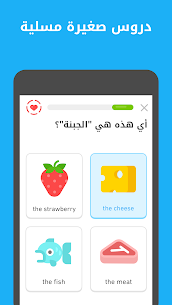 تحميل دولينجو مهكر 2024 Duolingo Plus احدث اصدار 2
