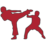 Karate-Do icon