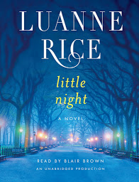 Icon image Little Night: A Novel