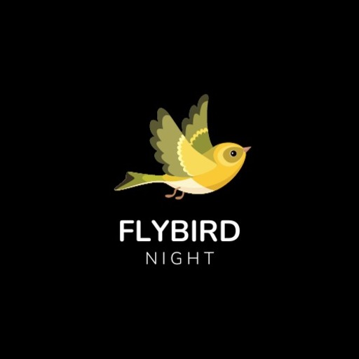 Flybirdnight