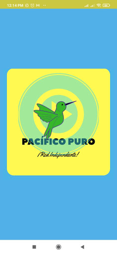 Pacifico Puro Screen 3