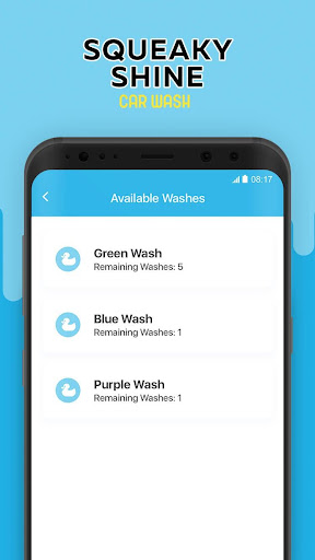 Squeaky Shine Car Wash Screen 2