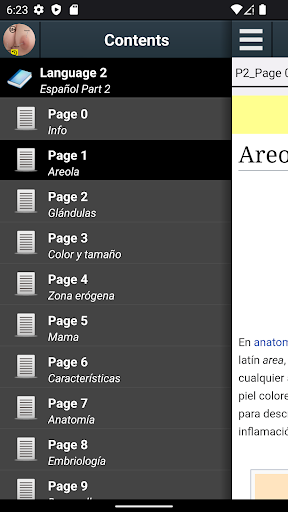 Vista previa de la aplicación