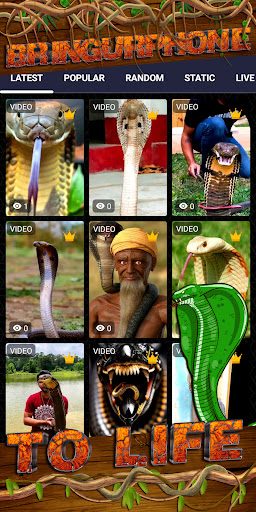 king cobra wallpaper Screen 2