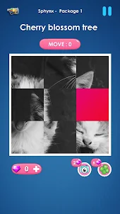 Cat slide puzzle: piece match